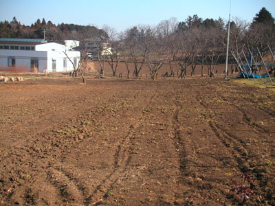 04�N����̐V�����_��ƂȂ�20a�̔�