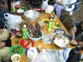 �o���オ�������n�Ղ̗����Q