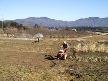 早春の作業(ずっと先で堆肥撒き、手前は耕運)